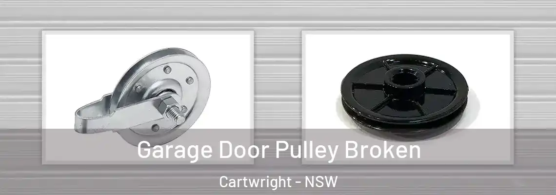 Garage Door Pulley Broken Cartwright - NSW