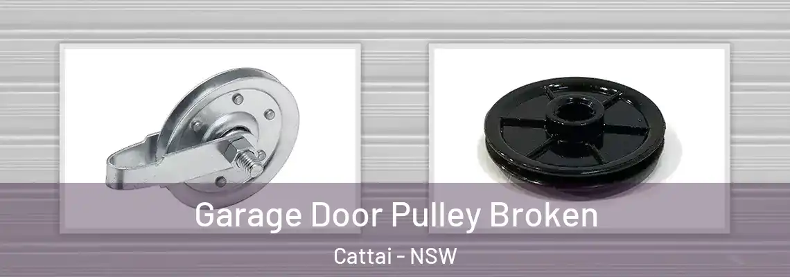 Garage Door Pulley Broken Cattai - NSW