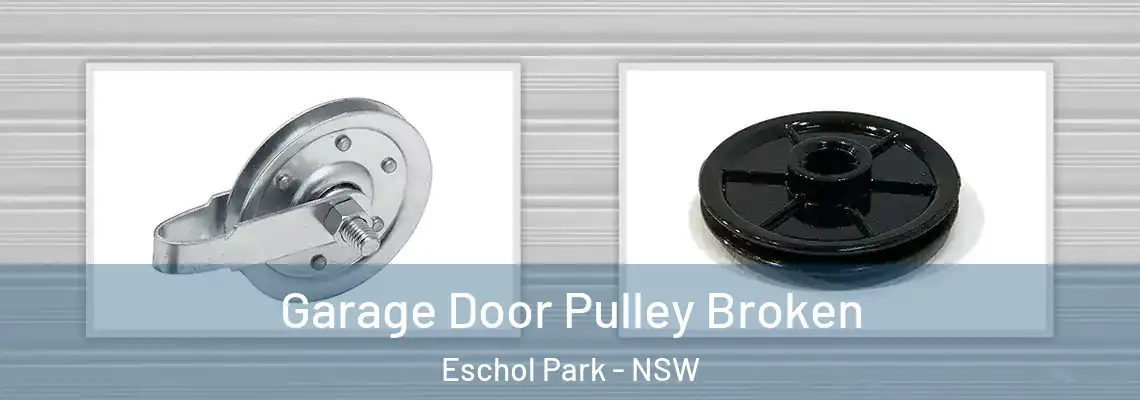 Garage Door Pulley Broken Eschol Park - NSW