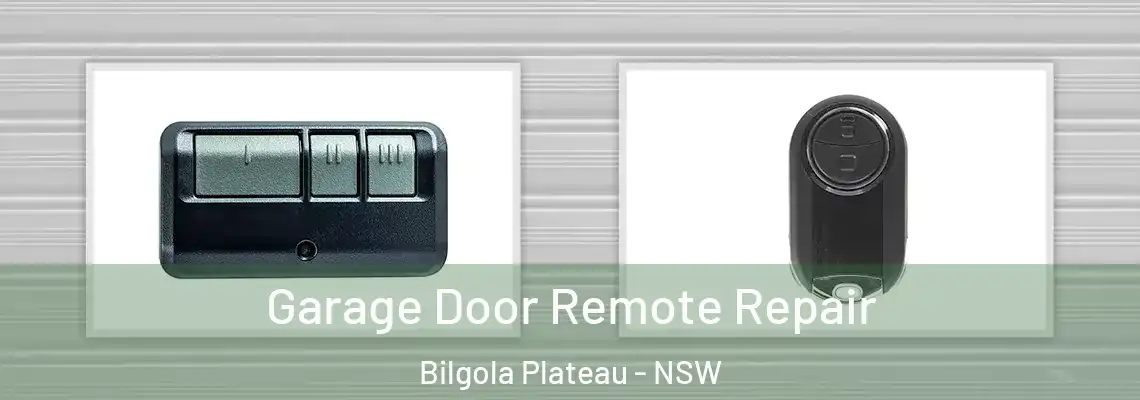  Garage Door Remote Repair Bilgola Plateau - NSW