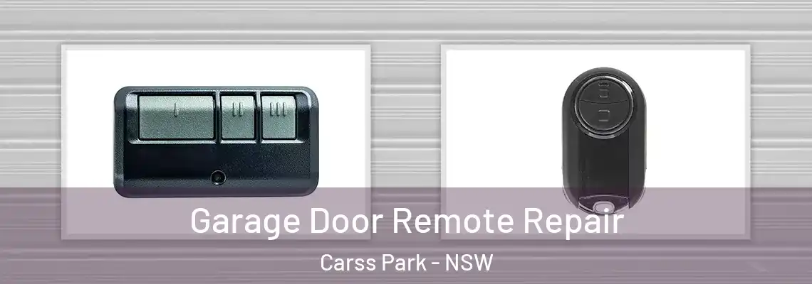 Garage Door Remote Repair Carss Park - NSW