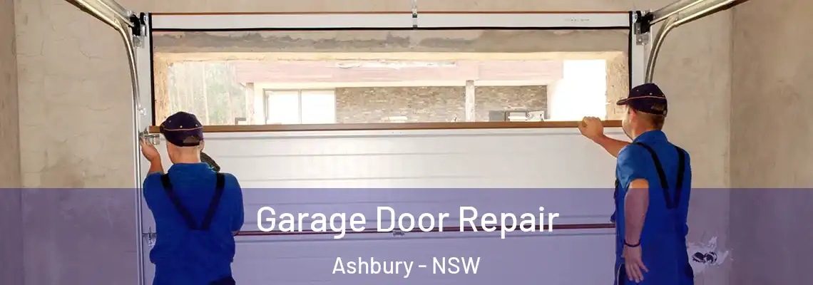 Garage Door Repair Ashbury - NSW