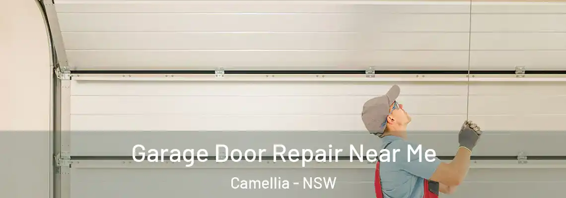 Garage Door Repair Near Me Camellia - NSW