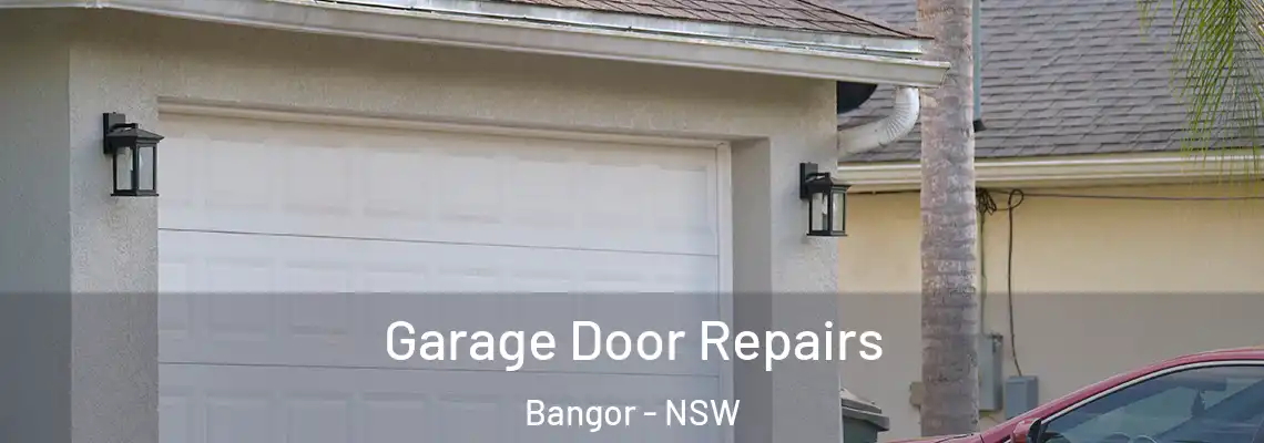 Garage Door Repairs Bangor - NSW