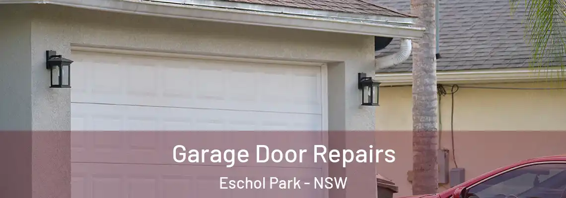 Garage Door Repairs Eschol Park - NSW