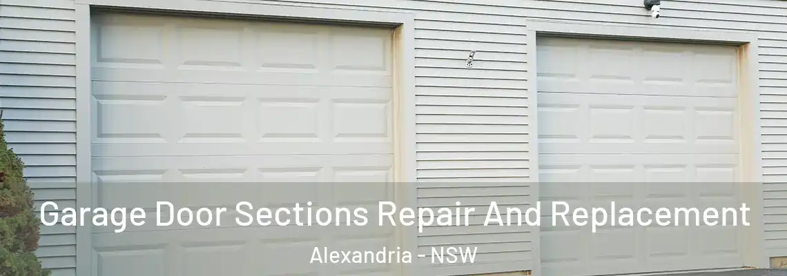 Garage Door Sections Repair And Replacement Alexandria - NSW