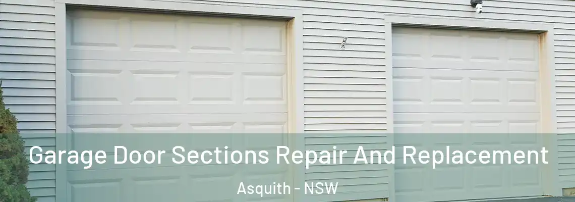 Garage Door Sections Repair And Replacement Asquith - NSW