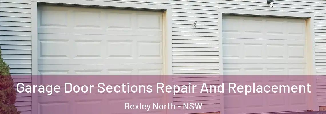 Garage Door Sections Repair And Replacement Bexley North - NSW