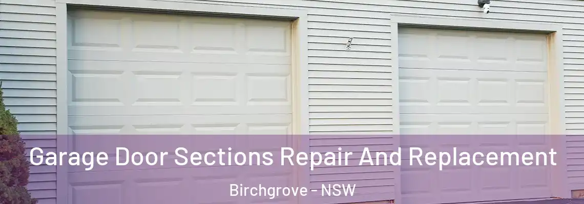 Garage Door Sections Repair And Replacement Birchgrove - NSW