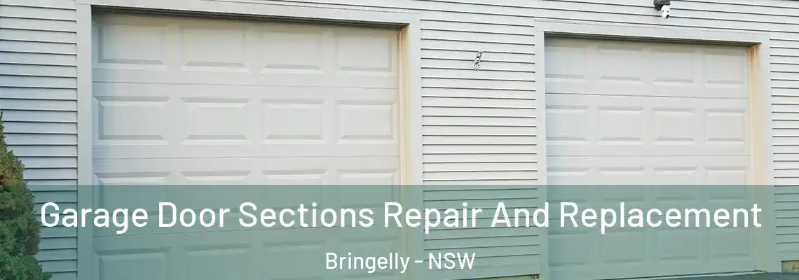 Garage Door Sections Repair And Replacement Bringelly - NSW
