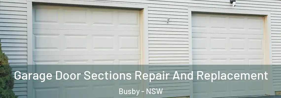 Garage Door Sections Repair And Replacement Busby - NSW