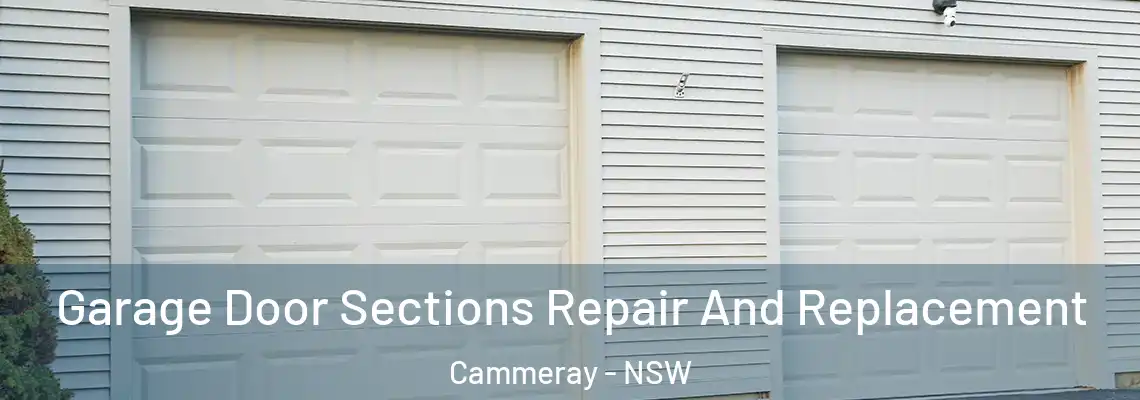 Garage Door Sections Repair And Replacement Cammeray - NSW
