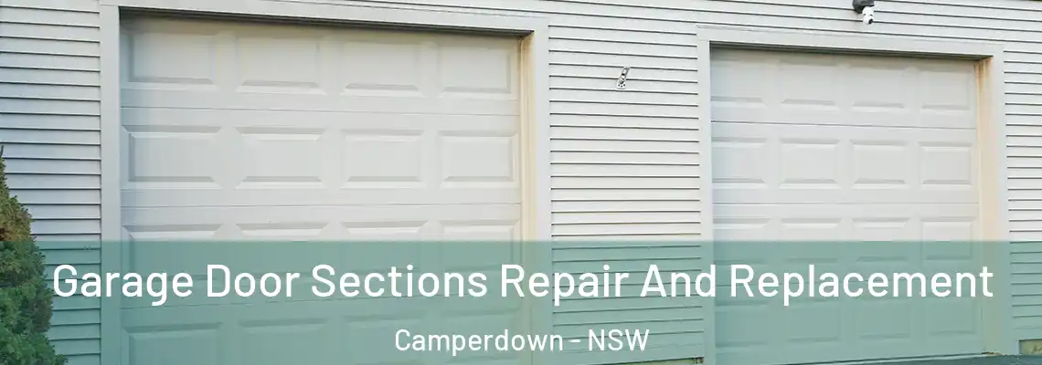 Garage Door Sections Repair And Replacement Camperdown - NSW