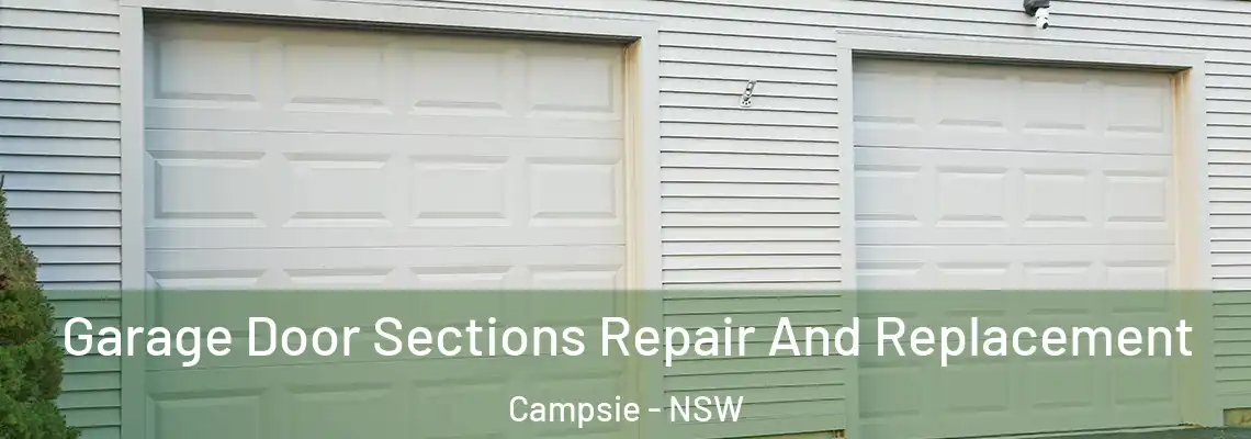 Garage Door Sections Repair And Replacement Campsie - NSW