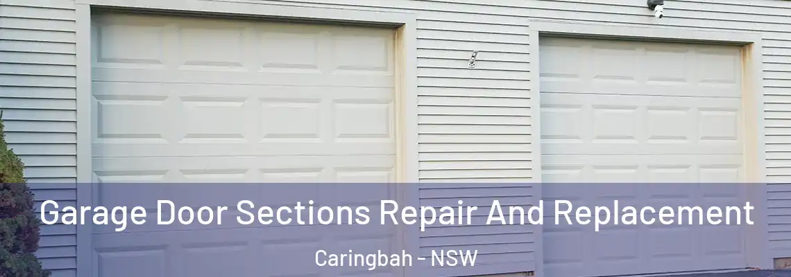 Garage Door Sections Repair And Replacement Caringbah - NSW