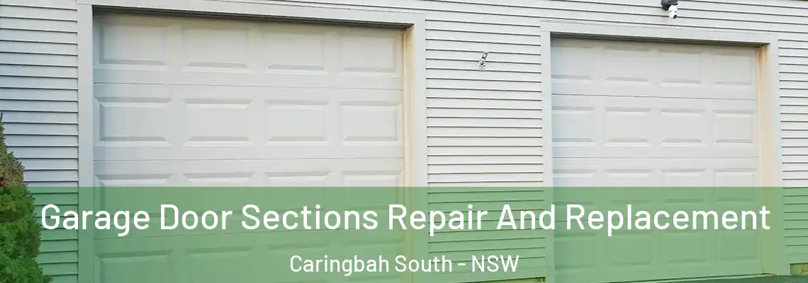 Garage Door Sections Repair And Replacement Caringbah South - NSW