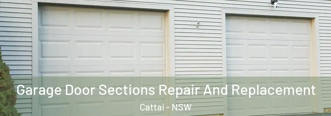 Garage Door Sections Repair And Replacement Cattai - NSW