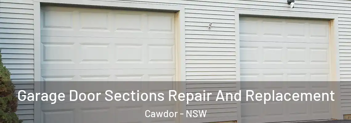 Garage Door Sections Repair And Replacement Cawdor - NSW