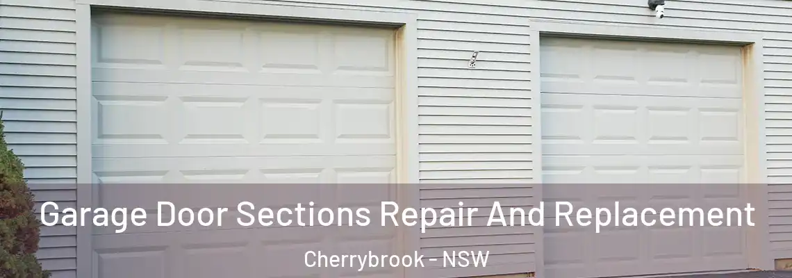 Garage Door Sections Repair And Replacement Cherrybrook - NSW