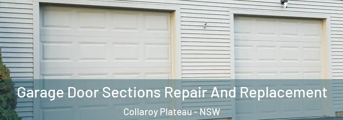 Garage Door Sections Repair And Replacement Collaroy Plateau - NSW