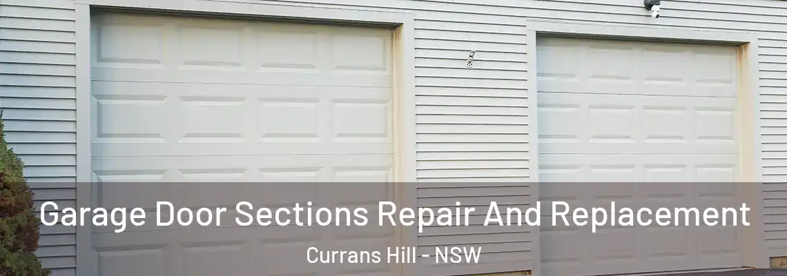 Garage Door Sections Repair And Replacement Currans Hill - NSW