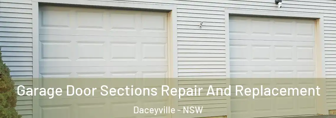 Garage Door Sections Repair And Replacement Daceyville - NSW