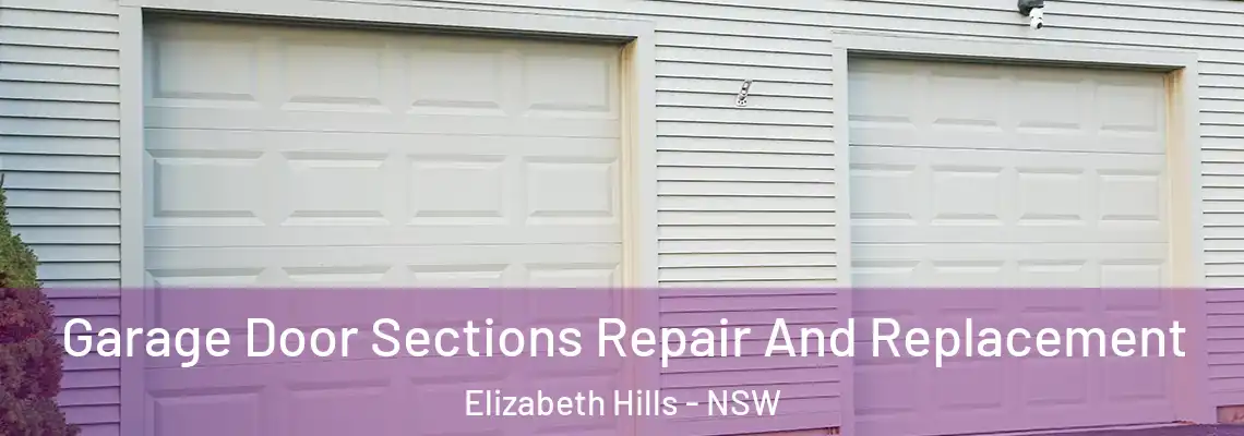 Garage Door Sections Repair And Replacement Elizabeth Hills - NSW