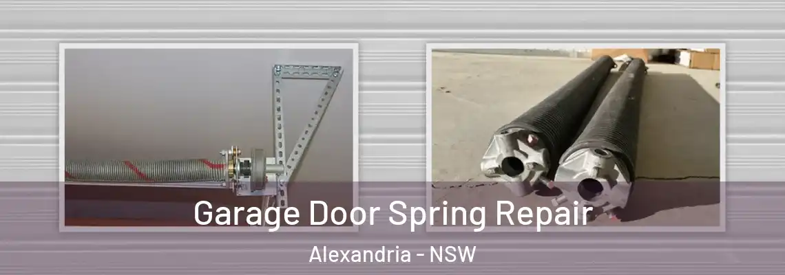 Garage Door Spring Repair Alexandria - NSW