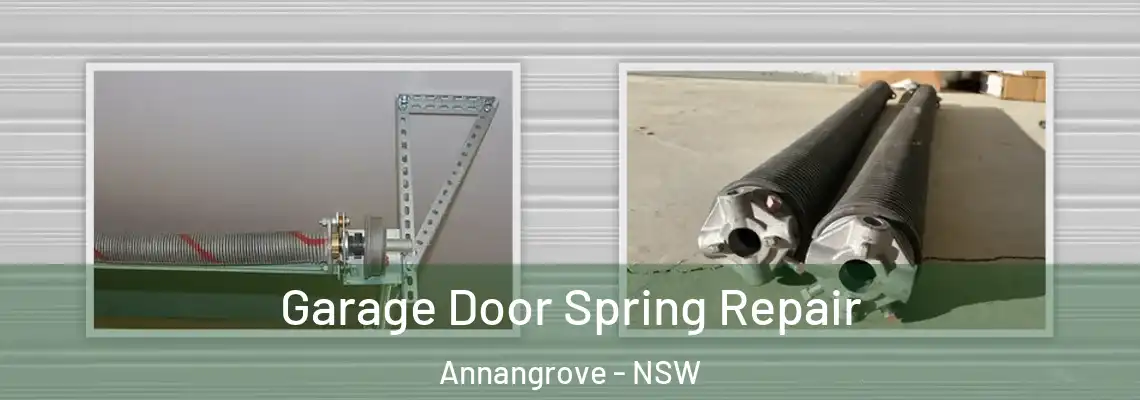 Garage Door Spring Repair Annangrove - NSW