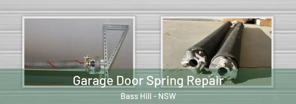 Garage Door Spring Repair Bass Hill - NSW