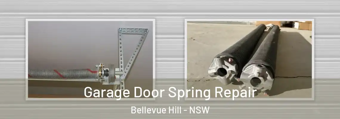 Garage Door Spring Repair Bellevue Hill - NSW