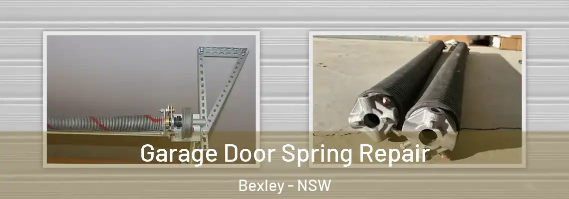 Garage Door Spring Repair Bexley - NSW