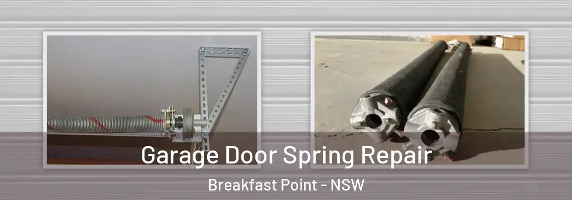 Garage Door Spring Repair Breakfast Point - NSW