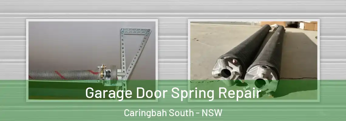 Garage Door Spring Repair Caringbah South - NSW