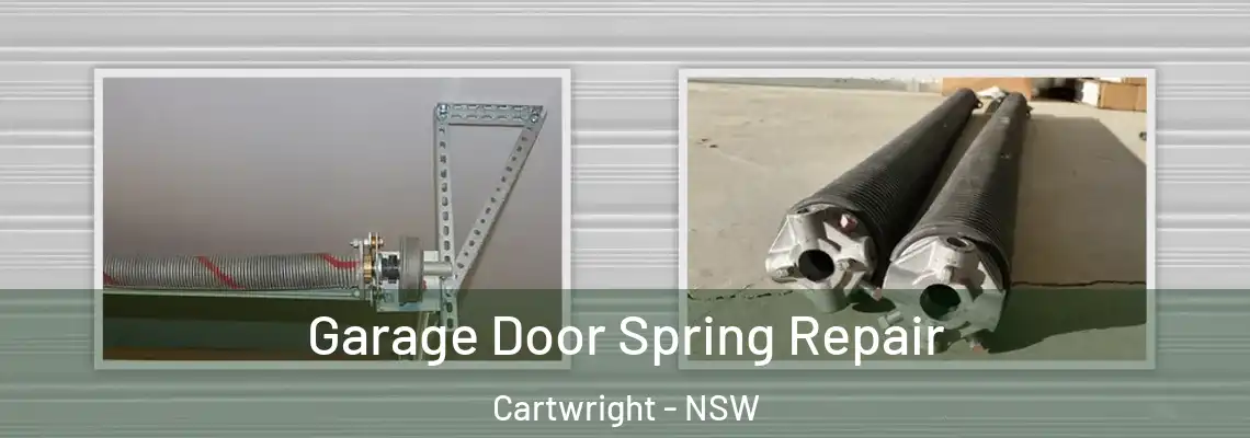 Garage Door Spring Repair Cartwright - NSW
