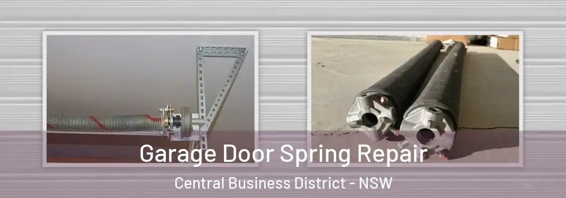 Garage Door Spring Repair Central Business District - NSW