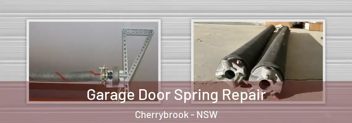 Garage Door Spring Repair Cherrybrook - NSW