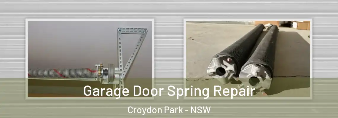 Garage Door Spring Repair Croydon Park - NSW