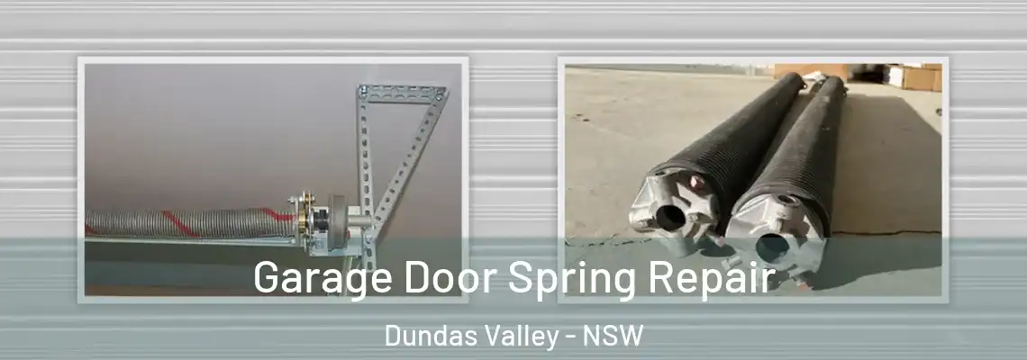 Garage Door Spring Repair Dundas Valley - NSW