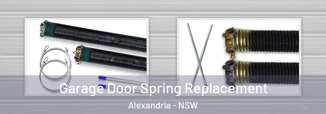 Garage Door Spring Replacement Alexandria - NSW