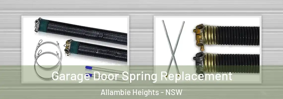 Garage Door Spring Replacement Allambie Heights - NSW