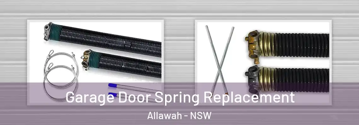 Garage Door Spring Replacement Allawah - NSW