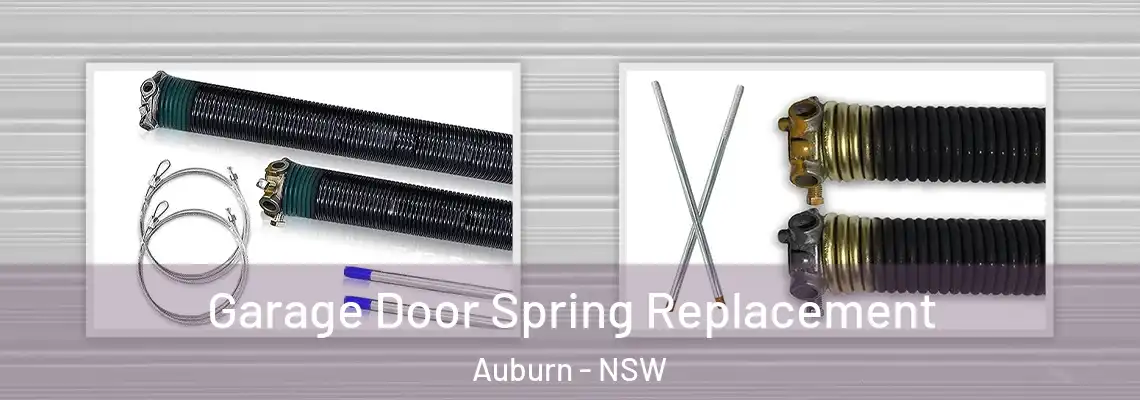 Garage Door Spring Replacement Auburn - NSW