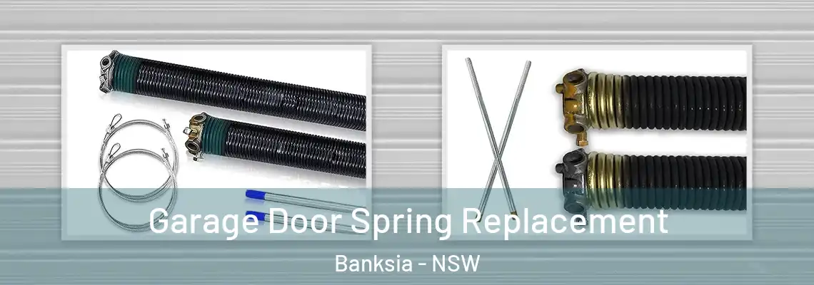 Garage Door Spring Replacement Banksia - NSW