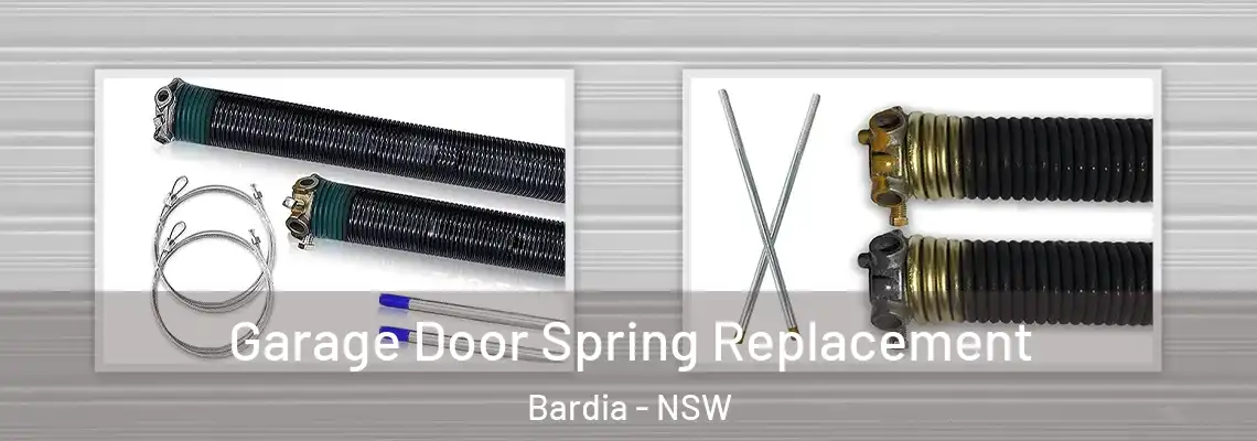 Garage Door Spring Replacement Bardia - NSW