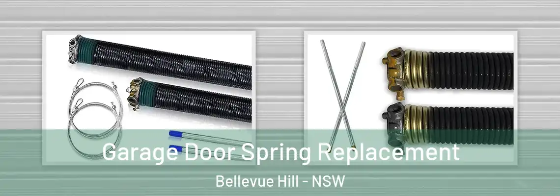 Garage Door Spring Replacement Bellevue Hill - NSW