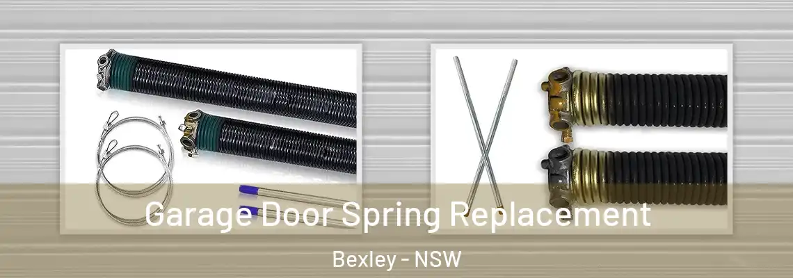 Garage Door Spring Replacement Bexley - NSW