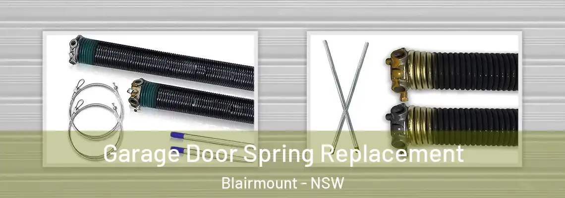 Garage Door Spring Replacement Blairmount - NSW