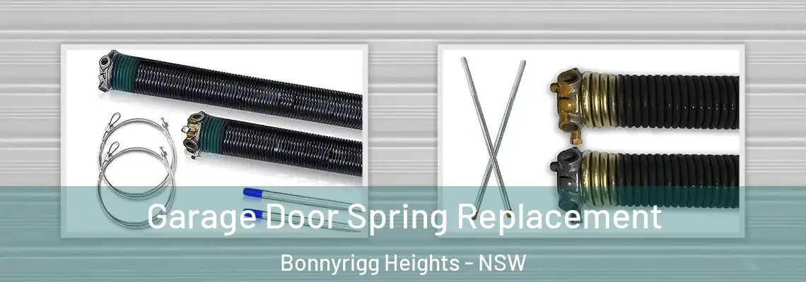 Garage Door Spring Replacement Bonnyrigg Heights - NSW