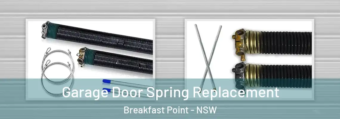Garage Door Spring Replacement Breakfast Point - NSW
